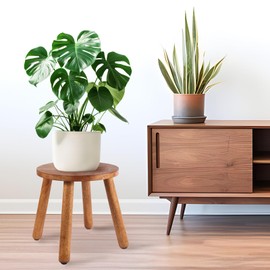 Zaowofires Round Solid Wooden Step Stool， Garden Stool，Plant Stool ，Wood Stool Legs Detachable for Plant Stand, Kitchen, Bathroom，Bedroom，Livingroom (Walnut, 15.8inch)