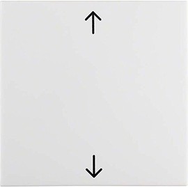 Hager S1 – Key Simple with Arrow Polar White Brightness