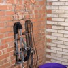 HANGERWORLD Pack of 3 Pack Belt Organizer for Closet Rack