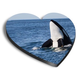 1 x Heart MDF Magnets - Ocean Killer Whale Orca 14212