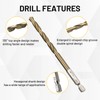 Leogony 11 Pcs Easy Out Bolt Extractor Set, 4 Bits