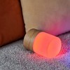 Gingko 7 Colour Changing RGB Large Lemelia Night Lights, Long