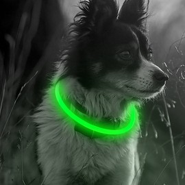 Illumifun LED Dog Collar Necklace, USB Rechargeable Pet Safety Collar, TPU Cuttable Glowing Light for Your Dogs Running at Night (Neon Green)
