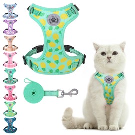 BEAUTYZOO Cat Harness and Leash Set Escape Proof, Medium Cat Vest Harness for Walking, Adjustable Step in Kitten Harnesses for Travel, Soft Lightweight Outdoor Cute Kitten Harnesses, Pineapple M