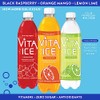 Vita Ice Variety Pack, 12 Pack, 17 oz. Bottles
