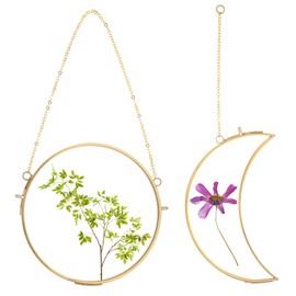 2 PCS Pressed Flowers Glass Frames Sun and Moon Brass Hanging Double Glass Frame for Pressed Flowers with Metal Chain Pressed Flower Wall Art for Pressed Flowers DIY Vintage Home Wall Decor