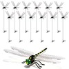 12 Pack 3D Dragonfly Clips - Realistic Garden Decorations