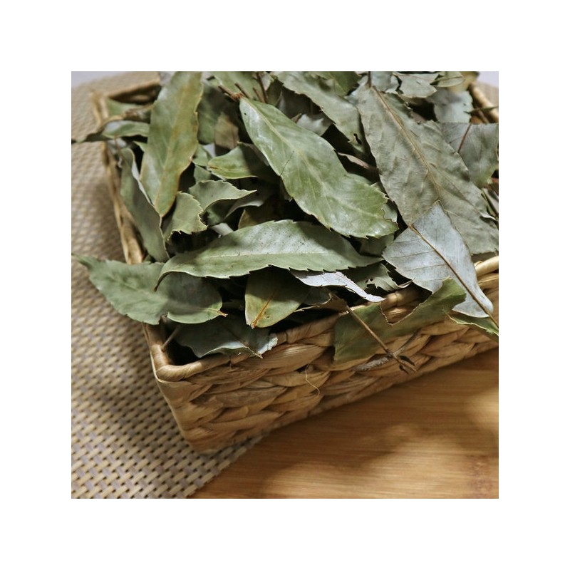 300g of chamduri leaves (domestic) / 참두리 참가시나무잎 300g (국내산)