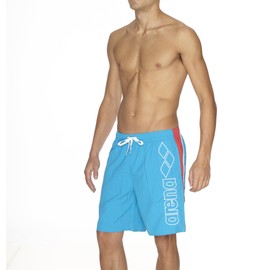 arena Fundamentals Panels Men's Swimming Shorts