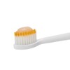 Toothpaste that Restores Teeth with Natural Powder, Biocrystalline Paste, 1.9