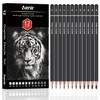 Charcoal Pencils for Drawing, Set of 12 Drawing Pencils for