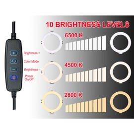 Vidpro RL-8 8" Inch LED Ring Light Kit with Mini Tripod and Ball Head. USB Powered for Portraits, Makeup, Modelling, Vloggers, Macro Photos and YouTube. Variable Color Temperature 2800K 4500K 6500K