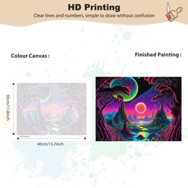 MEIYUDA Paint by Numbers Adults with Frame, Black Light Galaxy Room, DIY Digital Oil Painting Set on Canvas with Brushes and Acrylic Pigment Craft Set, Artwork for Home Decoration, Gift, 40 x 30 cm