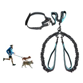 MingXpets Hands Free Dog Leash, Double Dog Leash, Waist Dog Running Leash for Comfortable Walking Jogging Training Hiking, Long Padded No Tangle 360° Swivel Clasp Adjustable Dual Dog Lead Leashes