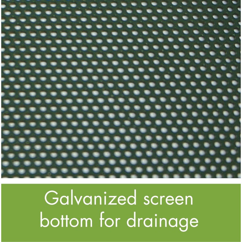 Going Greentm Window Bird Feeder