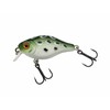Berkley Pulse Fry Shallow Crankbait Fishing Lure, Ultra-Realistic Hard Bait,