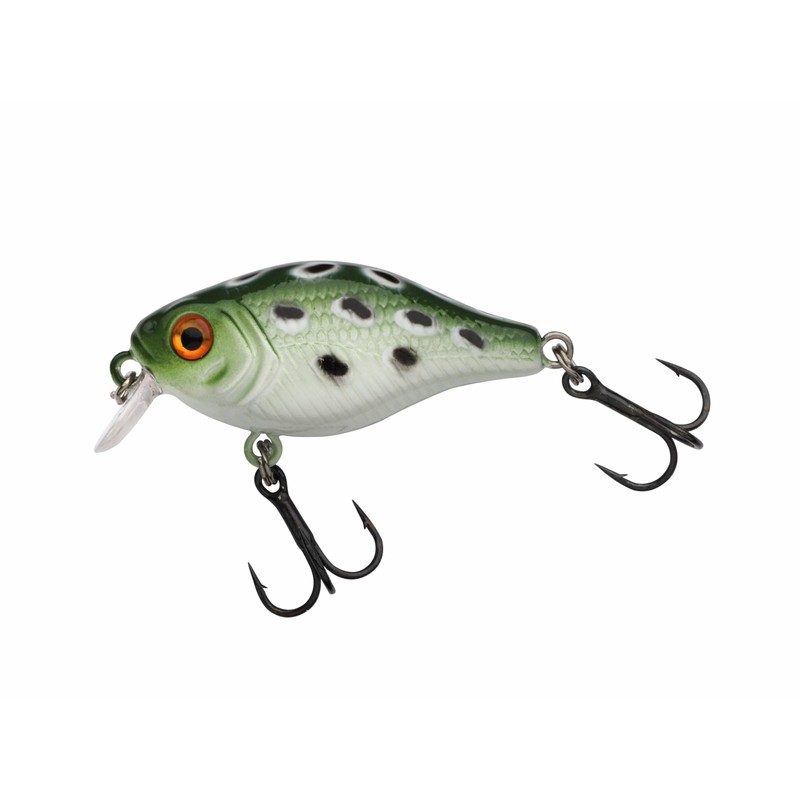 Berkley Pulse Fry Shallow Crankbait Fishing Lure, Ultra-Realistic Hard Bait,