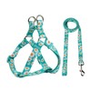 Olahibi Green Daisy Pattern Basic Dog Halter Harness and Leash