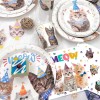 inboxxarty Cat Birthday Party Supplies,Cat Birthday Decorations & Cat Theme