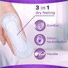 Always Dailies Panty Liners Normal 108x Pantyliners | Fresh &