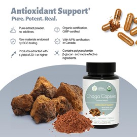 Herbal Treasure Chaga Mushrooms Powder Capsules, Mushroom Supplement for Functional Mushrooms, Chaga Mushroom Capsules for Energy, & Immune Support, Organic Mushroom Supplement 90 Caps