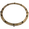 Pentair 79203200 Spa Plaster Brass Ring Replacement