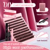 Cluster Lashes Kit 200PCS Lash Clusters 3D Effect 0.07 50D