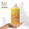 Shampoo De Miel Hidratante Productos Mart Mexico 500 Ml