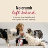 The Honest Kitchen Bone Broth Bites: Roasted with Beef Bone