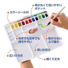 Moribe Creation M-PZP Plasma Processing Palette, For 15 Colors, With Color Seal