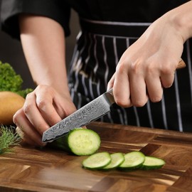 Wakoli EDIB Pro Damascus Mukimono Knife – Japanese Style Paring and Garnishing Knife | 4-Inch Genuine Damascus Steel Blade with VG10 Core | Ergonomic Pakkawood Handle