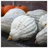 Everwilde Farms - 1 Lb Organic Blue Hubbard Winter Squash