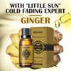 3 Pcs Belly Drainage Ginger Oil, Promote Blood Circulation Metabolism