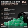 Fraction One Fibre Gummies 120 - Chicory Root Fibre (Inulin)