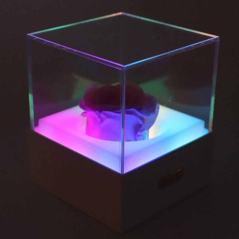 Rose Night Light Romantic Small USB Charging Soft Brightness Decoration