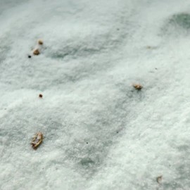 Green Tea Jelly Mask 500grs Mascarilla Hidro-plástica