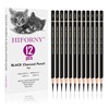 HIFORNY 12 Pieces Charcoal Pencils Drawing Set - Super Soft,Soft,Medium