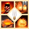 Moflekja Himalayan Salt Lamp Bulbs, T20 25W Original Replacement Long