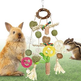Tyotrbs Bunny Chew Toy, Rabbits Cage Hanging Chew Toys and Treats Rattan Ring with Snacks Water Grass Wooden Block Carrot for Guinea Pigs Chinchillas Hamsters Rats and Other Small Pets Teeth Grinding