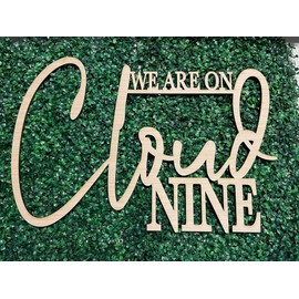 We Are On Cloud Nine Sign for Backdrop,Baby Shower Party Wall Sign for Gender Reveal Girl or Boy Baby Shower Party Decorations