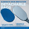 The Ultimate Back Scratcher, Scalp Massager, Back Massager, & Exfoliator
