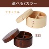 Iris Plaza Bento Box Brown 13 X 13 X 11.5 bdh04 a