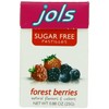Jols Sugar Free Pastilles, Forest Berry, 0.88-Ounce Boxes (Pack of