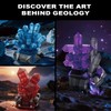 Oeasic Geology Crystal Building Set for Adults, 564PCS Model Collection