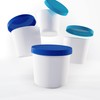 ZWIN® 4er-Set Eiscreme-Gefrierbehälter mit beschriftbarem Silikondeckel 250ml, Ideal für die