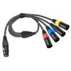 Lrbners 2FT(0.6M) XLR Female to 4 Male Splitter Cable -
