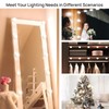LED Vanity Lights with 10 Dimmable Bulbs USB Adjustable Color