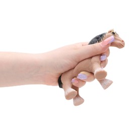 Toyland® 10cm Squidgy & Stretchy Farmyard Animals - Stress Relief - Novelty Fidget Squeeze Toys - 1 Chosen at Random