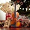 Eavnbaek Violin 4/4 Full Size Set, Solid Wood Fiddle for