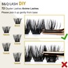 B&Qaugen Lash Clusters, B 06, Vegan, Cruelty Free False Eyelash